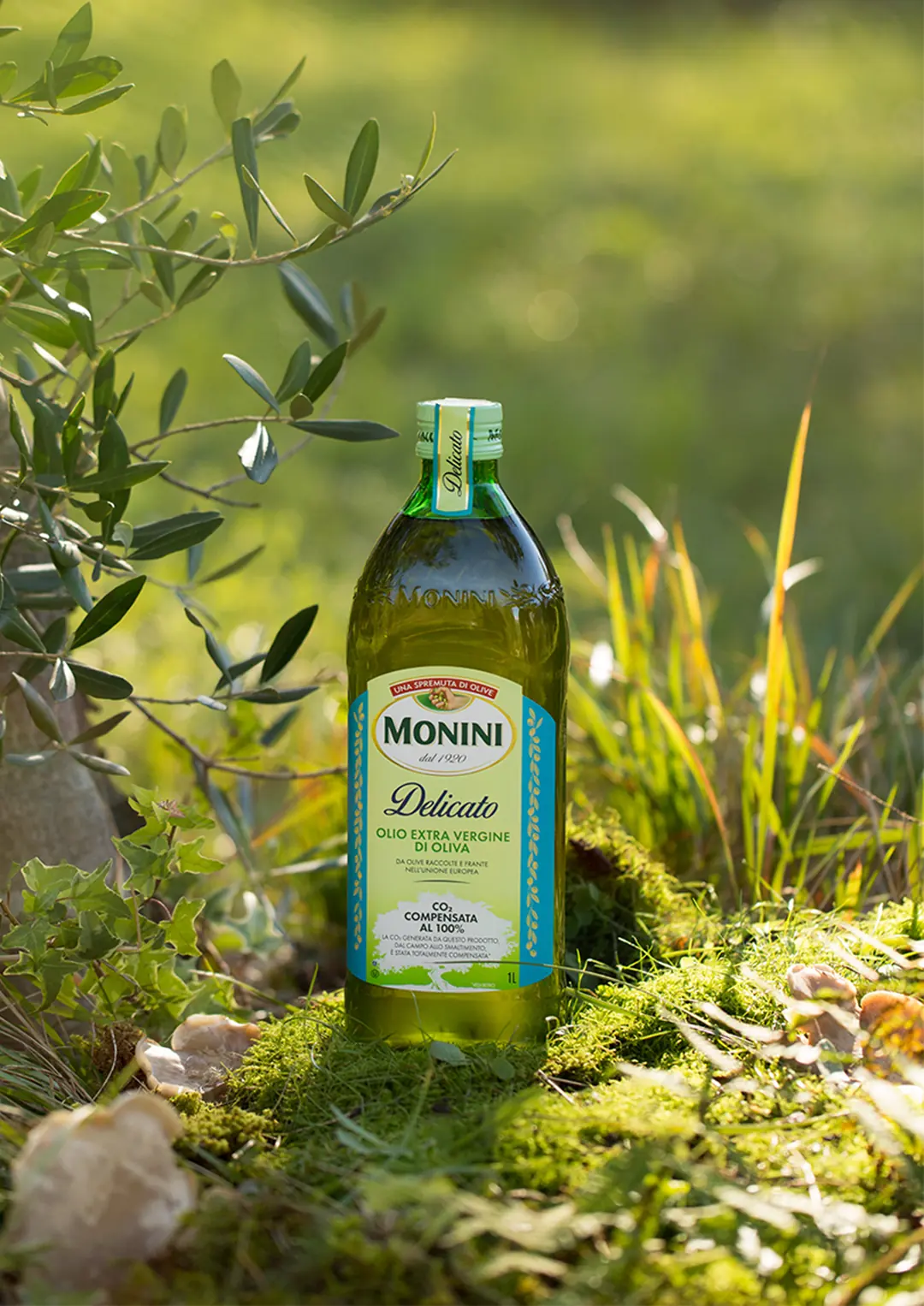 Creative Digital Media Design for Monini Oil Product