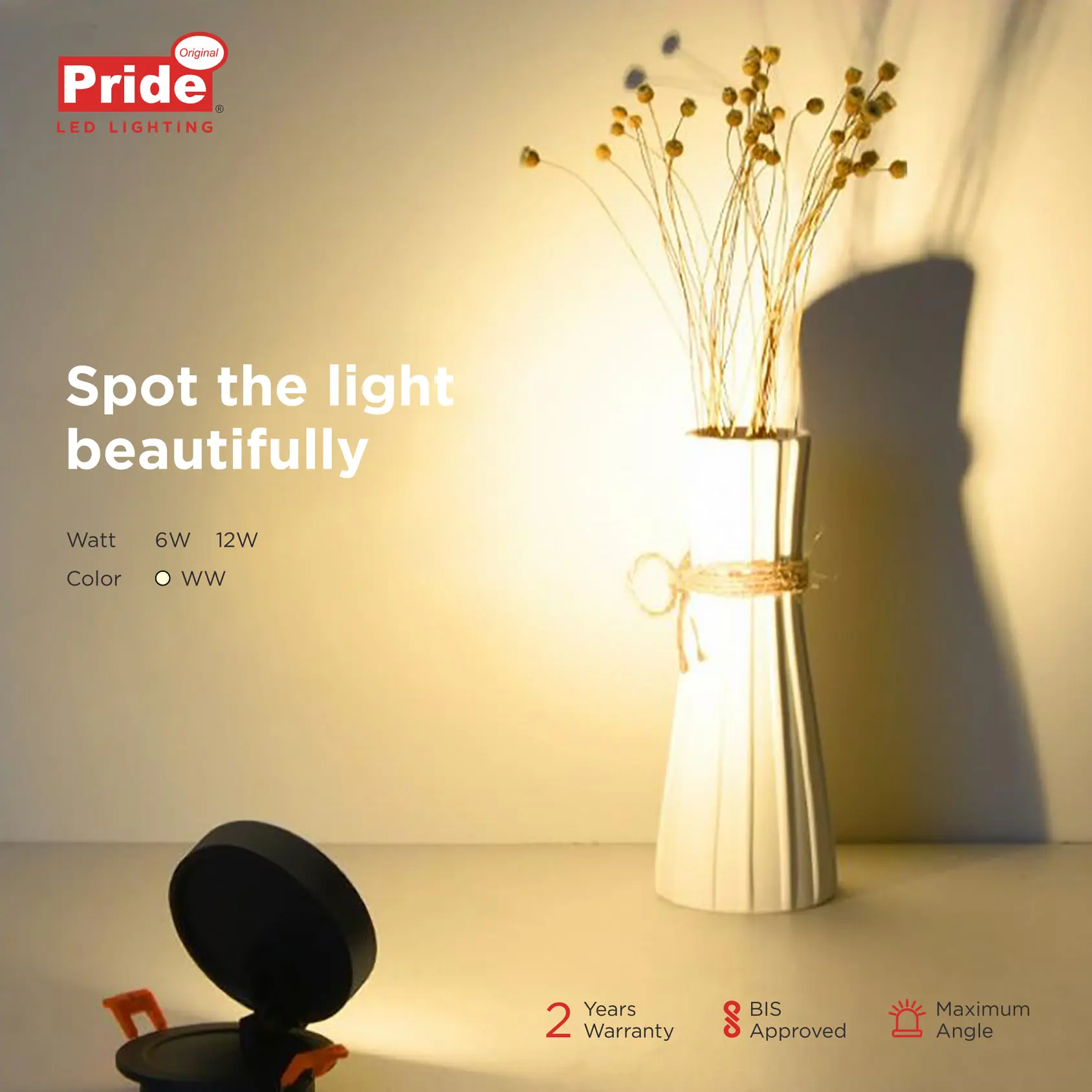 Creative Photoshoot & Content Creation for Social Media Channels